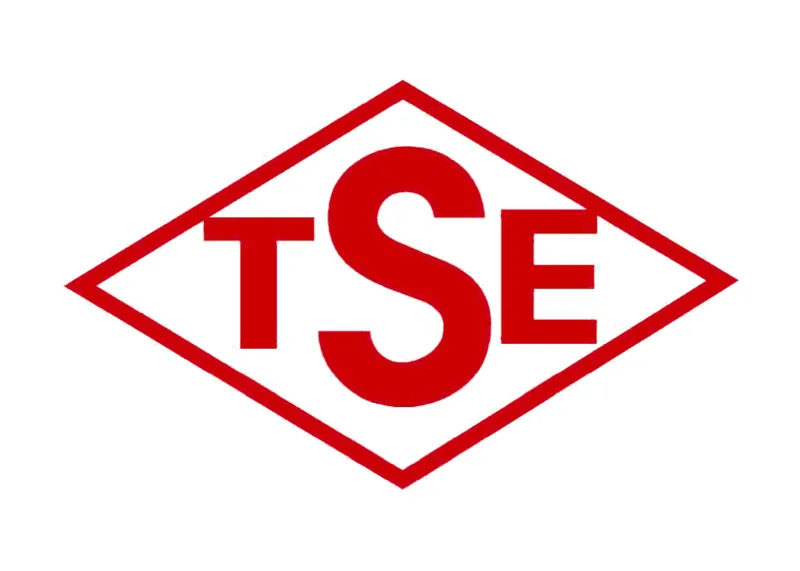 TSE